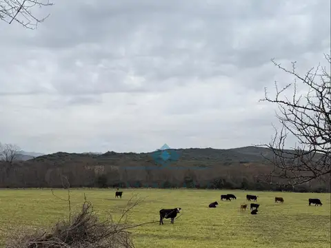 VENTA – CAMPO GANADERO – TODOS LOS SANTOS (Colonia Hogar)