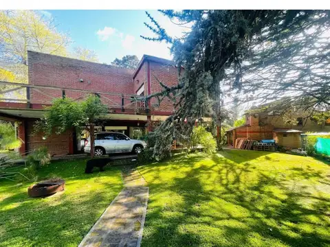 Caroyas Y Las Margaritas 100