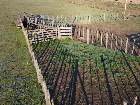 Campo en  Del Carril