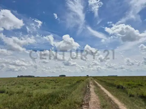 Campo en Venta de 0,01  ha