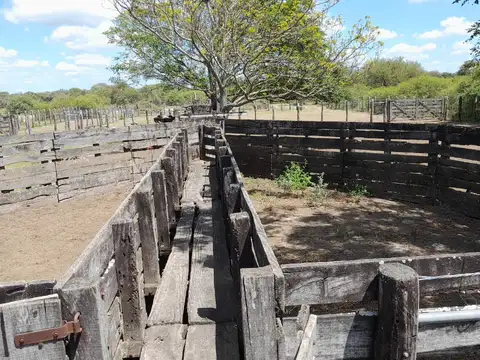 Campo en Venta con Alambrado