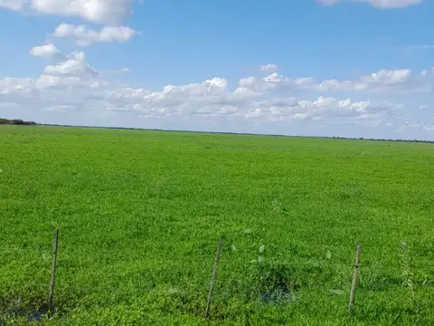 Campo en venta ganadero 2110 hectáreas en aguara grande Santa Fe