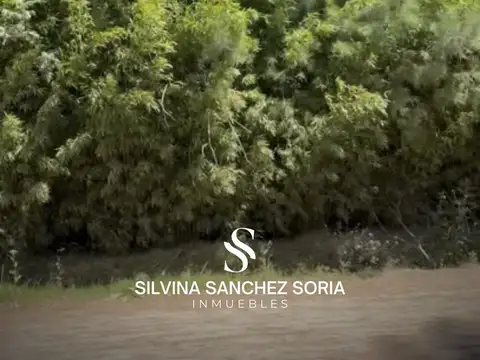 LOTE ZONA MESTIZA, LOS CARDALES