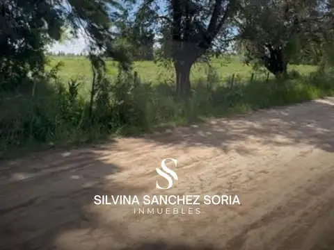 LOTEO ZONA MESTIZA, LOS CARDALES