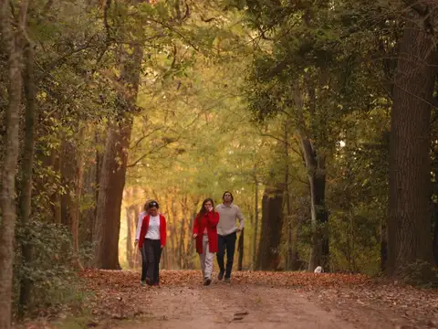 Terreno en Venta de 27000,0 m2