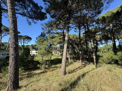 Terreno en Venta de 1011,0 m2