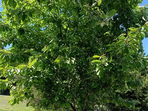 Casa en Venta 20 años