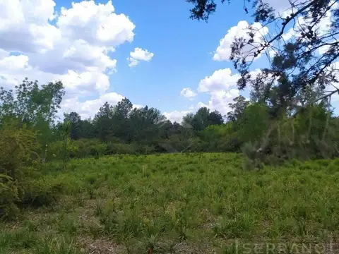 SDA. Venta Lote de terreno 4.000 m2. Colectora Sur Ruta 8 Km 77, Exaltacion de la Cruz