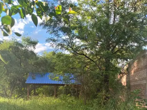 Lapacho esquina Pitogüé