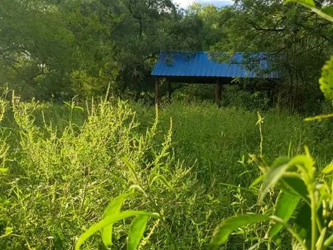 Lapacho esquina Pitogüé