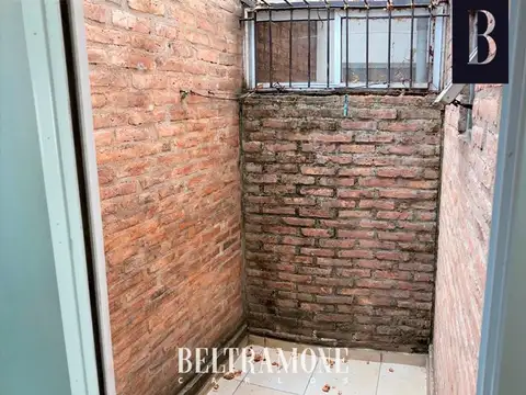 Gigante mono en alquiler