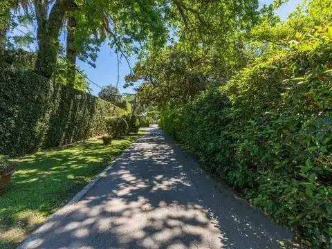 Terreno en venta - 15.000 mts2 - Villa Elisa