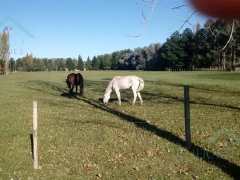 Terreno en Venta en Carlos Keen, USD 61.000