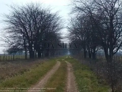 Casa 2 ambientes con 1 baño