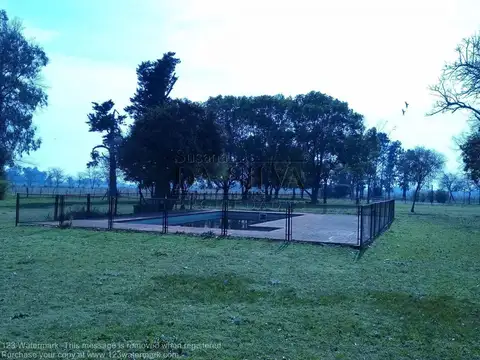 Casa en Alquiler Temporal de 1 dormitorio