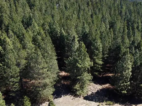 VENTA LOTE EL DESAFIO MOUNTAIN RESORT, SAN MARTIN DE LOS ANDES