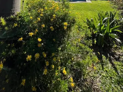 Casa en Venta 2025 años