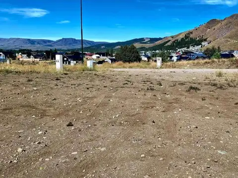 Taique y Lago  Nuevo 100