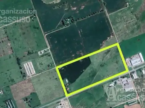 Chacra - Carmen De Areco