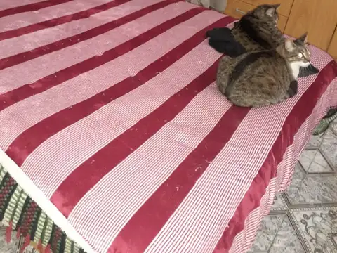 Av Inte E J Crovara 3000