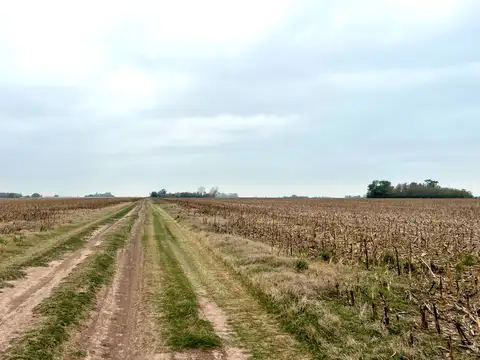 Campo en Venta Mixto