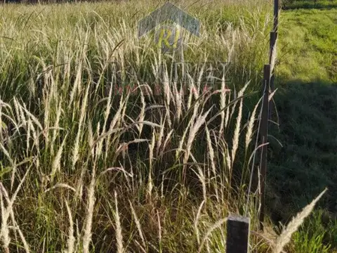 Terreno en Venta de 895,72 m2