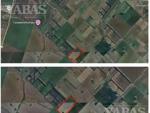 Campo agrícola en venta – 17 has – San Pedro, Buenos Aires