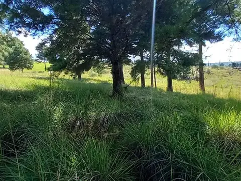 Terreno en Venta de 7968,0 m2