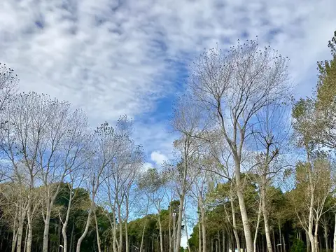 Cándida - Villa Robles