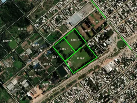 Ruta Provincial 24 10800