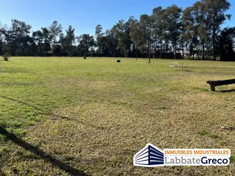 Terreno en Venta en Cuartel V, USD 1.550.000