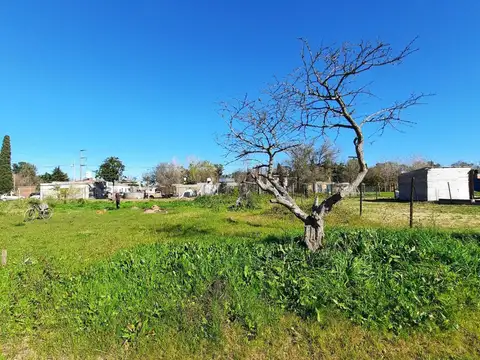 Terreno en Venta de 250,0 m2