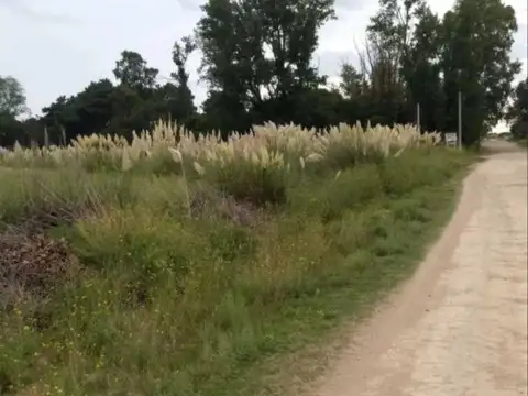 Terreno en Venta 30  mts Fondo