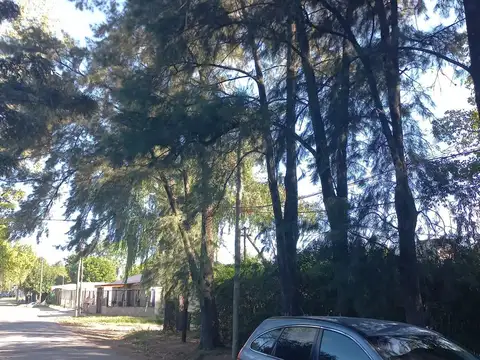 Casa en Venta en Pellegrini Village, USD 149.000