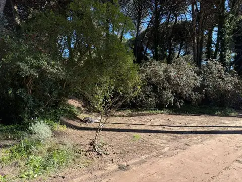 Terreno en Venta 41  mts Fondo