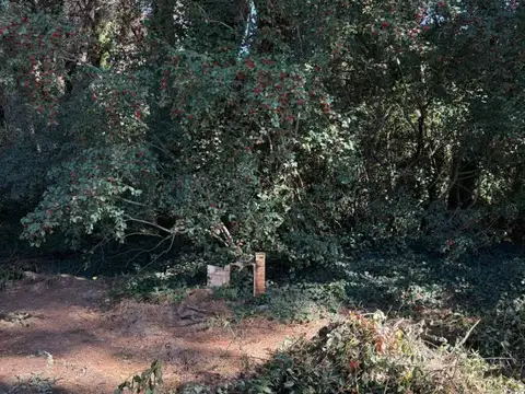 Terreno en Venta 25  mts Frente