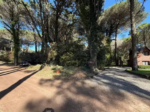 Terreno en Venta de 1039,0 m2