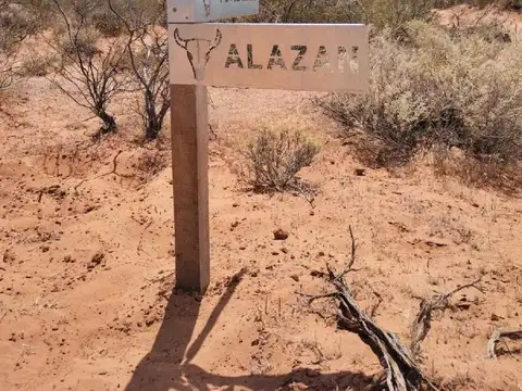 PUEBLO FINCAS VACA MUERTA 1 HECTAREA EN SENILLOSA