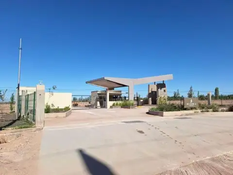 Vieytes B Milcayac II 100