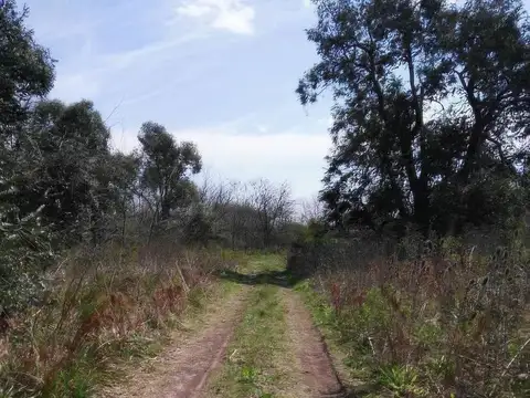 Terreno en Venta de 850,0 m2