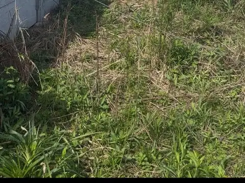 Terreno en Venta en Recreo, USD 12.000