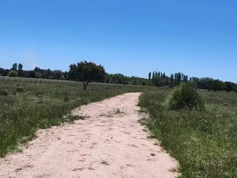 Terreno en venta - 30.000Mts2 - Estancia Benqueria, Monte