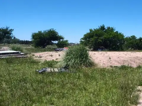 Benquerencia Farm Club