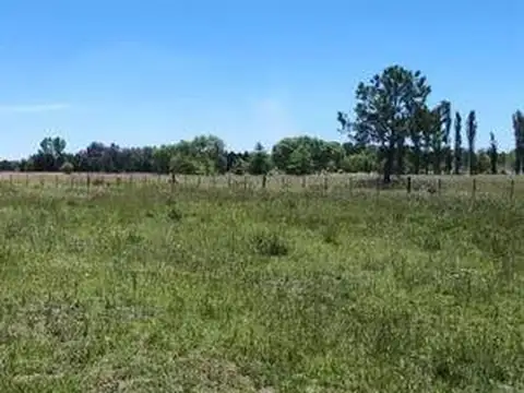 Terreno en Venta de 31039,0 m2