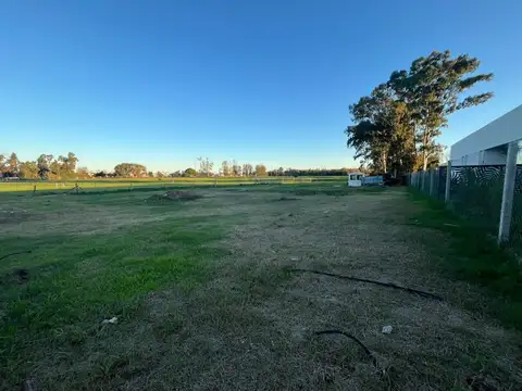 Terreno en Venta de 1631,0 m2