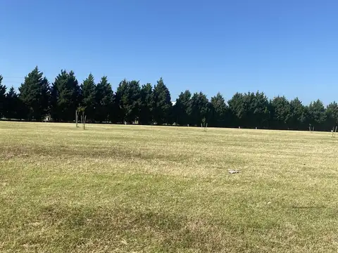 Terreno en Venta de 501,0 m2