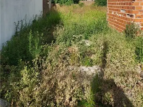 Terreno en Venta de 300,0 m2