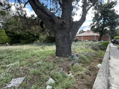 Terreno en Venta 15  mts Frente