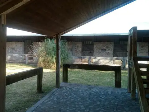 Campo - Lucio V Lopez