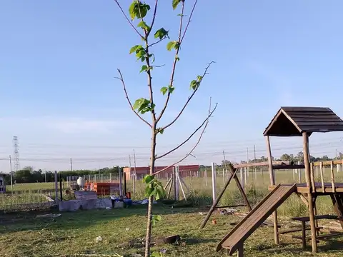 Terreno en Venta en Cañuelas, USD 82.000